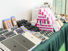 海關破走私案檢巿值逾5600萬元懷疑走私物品