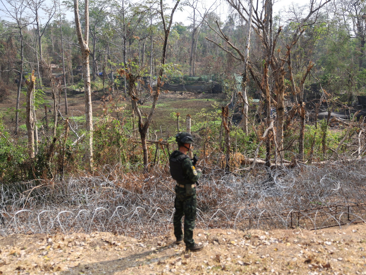 泰國士兵在東北部素林府接壤柬埔寨邊境的地區駐守。（路透社資料圖片）