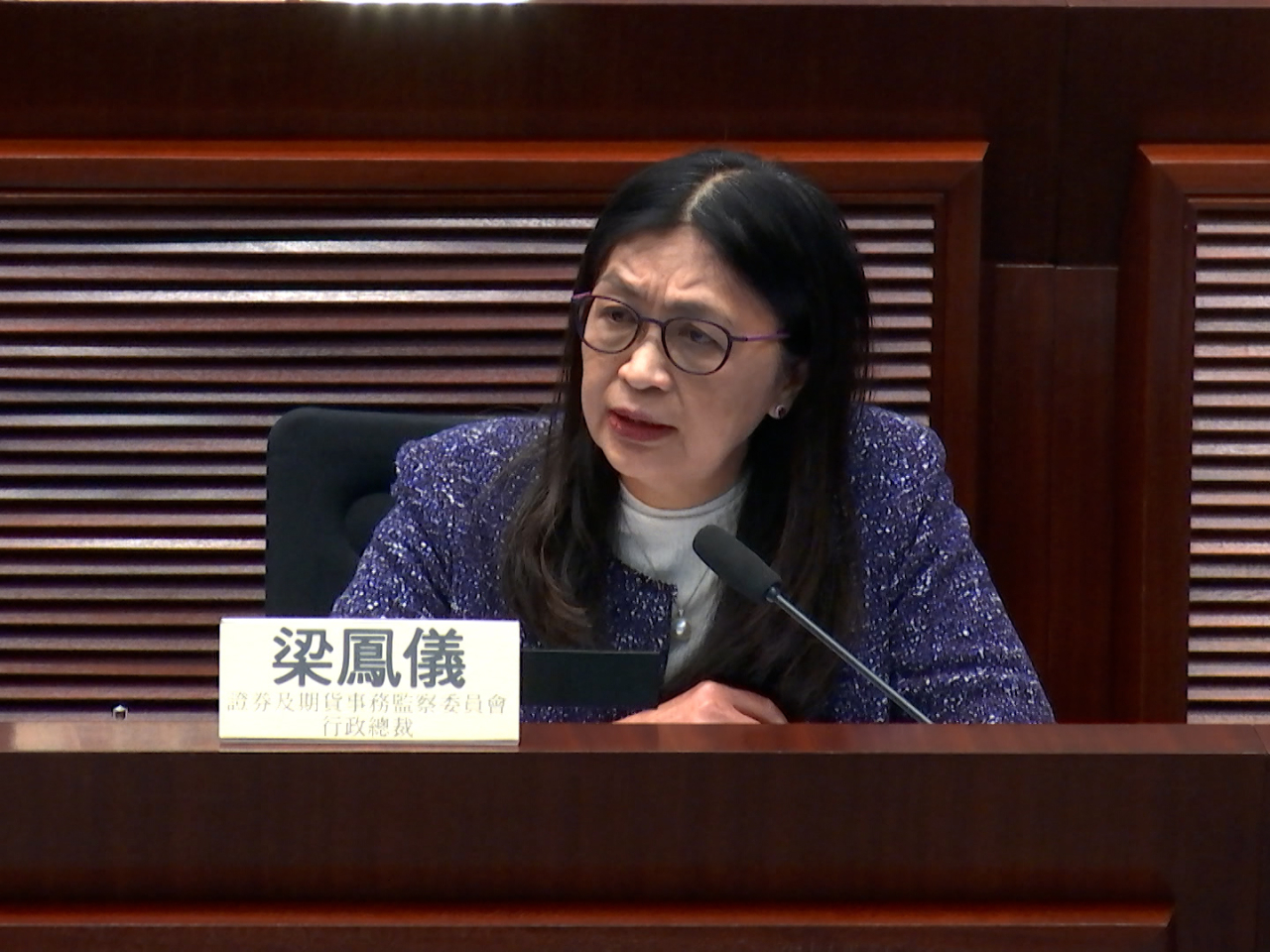 梁鳳儀稱證監會非常關注新股上市文件嚴重缺失及質素參差的問題。