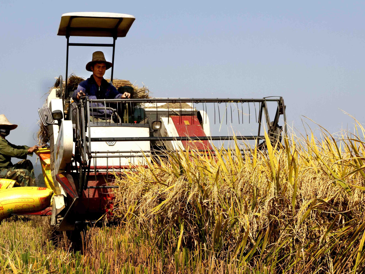 新華社獲授權發布2026年中央一號文件。文件提出，支持農業農村重大項目建設，促進糧食等重要農產品價格保持在合理水平。（新華社資料圖片）