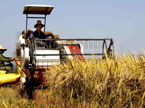 新華社獲授權發布2026年中央一號文件。文件提出，支持農業農村重大項目建設，促進糧食等重要農產品價格保持在合理水平。（新華社資料圖片）