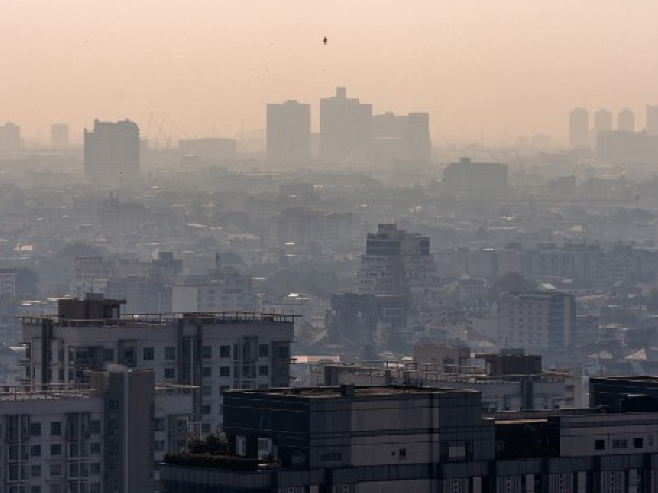 泰媒報道，泰國警方本周一在曼谷拘捕一名62歲香港男子，涉嫌與37年前在香港發生的一宗謀殺案有關。（法新社資料圖片）