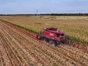 內地糧食產量連續兩年穩定在1.4萬億斤以上　創歷史新高
