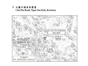 梁沛泓稱彩霞道地皮位置及交通配套等優勝，規模亦較細，相信入標數量及中標價較彩興路好。（地政總署圖片）