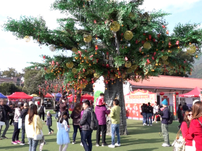 Tourism Secretary upbeat over Lunar New Year prospects