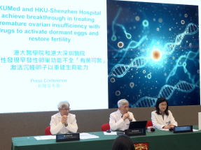 港大發現慢性腎病藥物可為早發性卵巢功能不全病人帶來生育希望