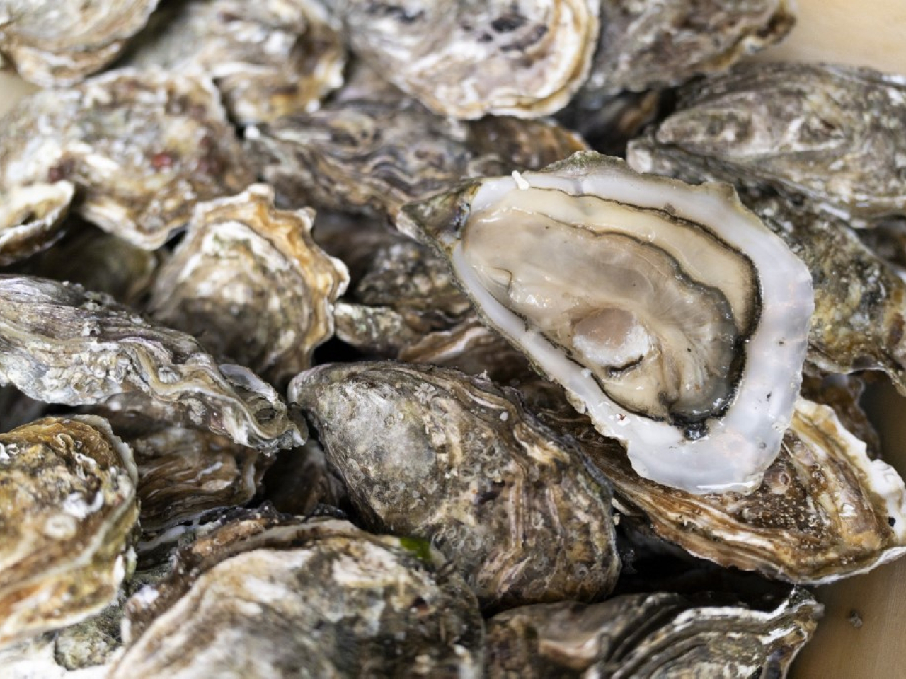 There have been 39 food poisoning cases involving 119 people in recent weeks. File photo: AFP