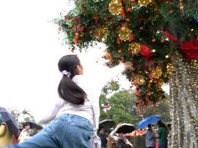 大埔林村許願節舉行　市民冒雨拋寶牒