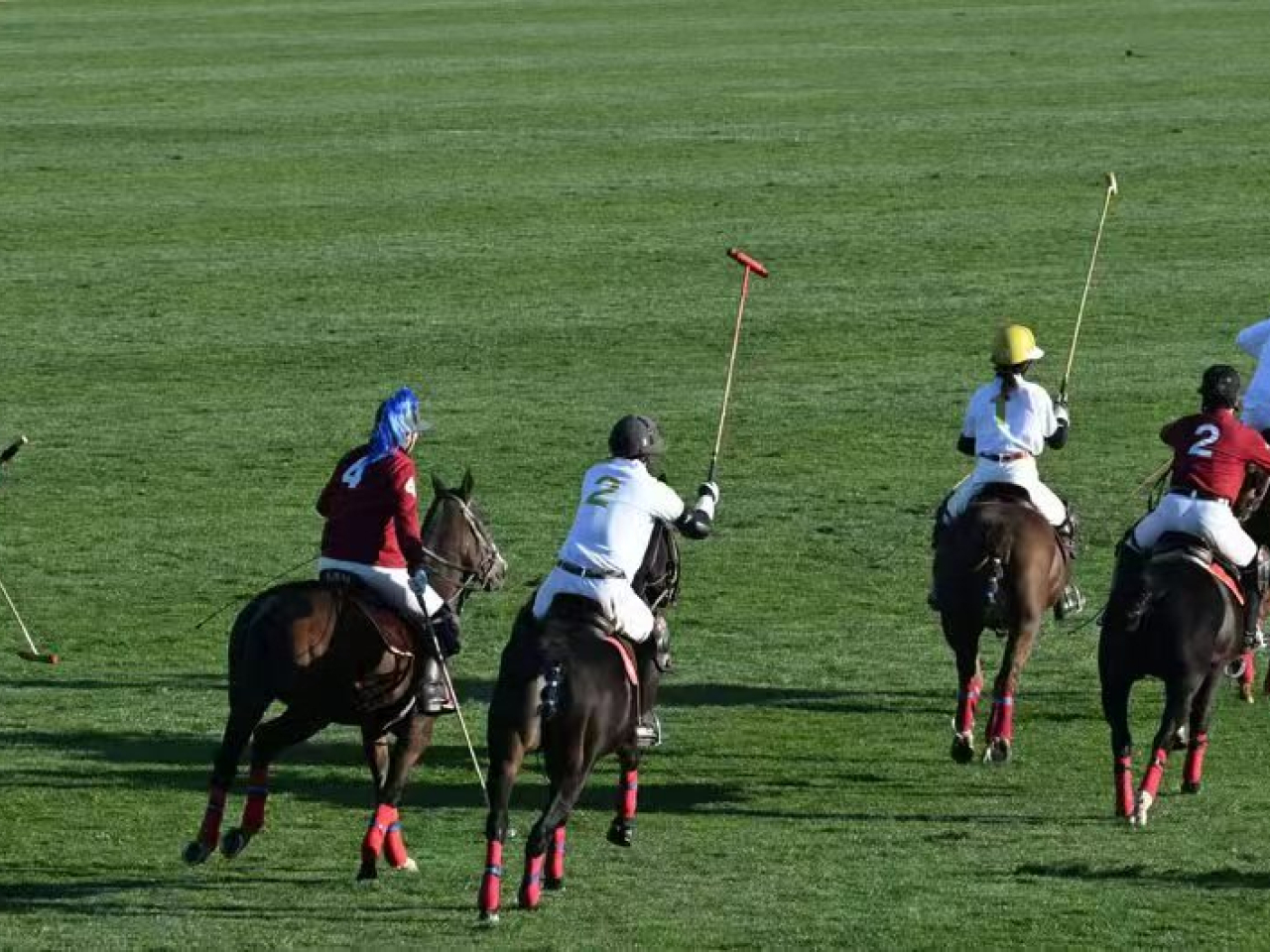 馬球賽事分兩組進行，球手騎馬並手持球桿，限時內鬥快用球桿擊球入門，得分最多為勝出。（受訪者提供）