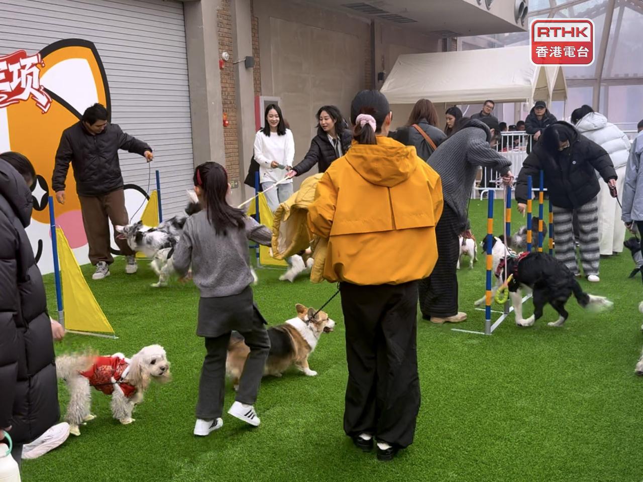 有民眾表示，很多廟會不容許帶同狗隻入內，今年特意帶同寵物狗到場，參與跨越障礙的體驗活動。（陳曉筠攝）