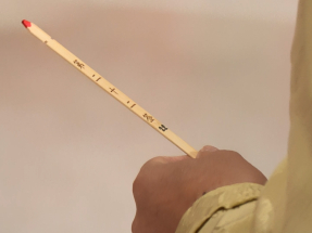 大年初二車公誕　劉業強為香港求得中籤