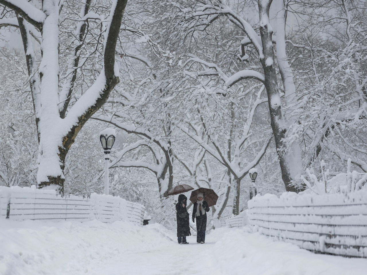 People walk at Central Park as snow falls during a winter storm in New York City. Photo: Reuters