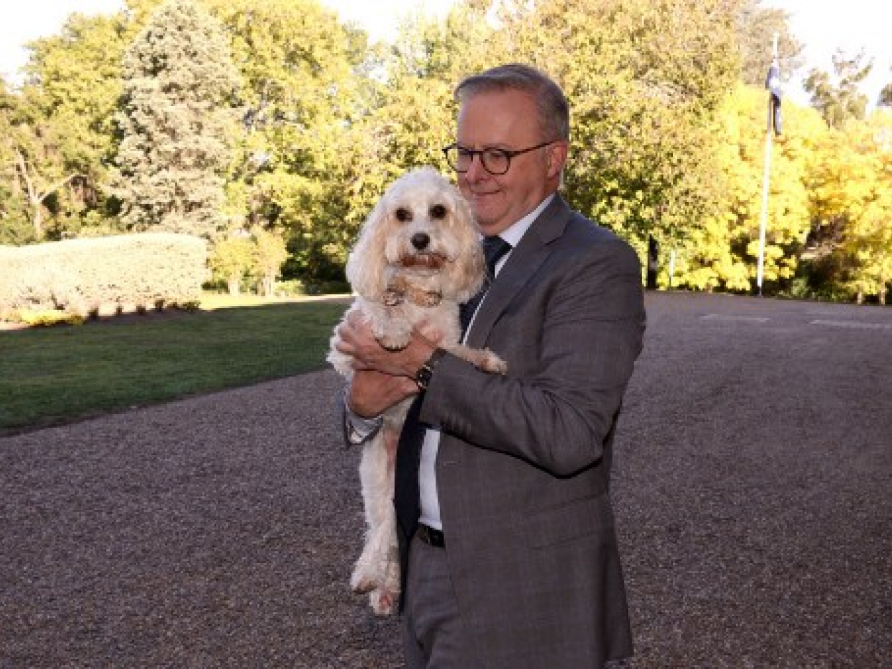 Australian Prime Minister Anthony Albanese was photographed with his dog &lsquo;ToTo&rsquo; outside The Lodge in Canberra almost two years ago. File photo: AFP