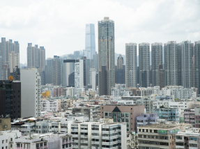 Govt land sales to produce 98,000 flats in 5 years: FS