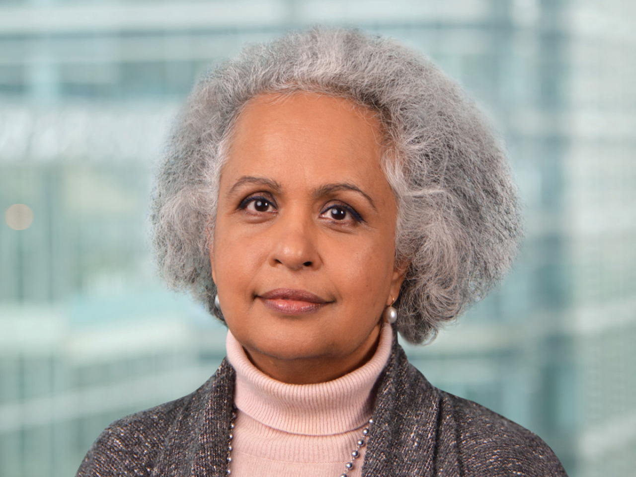 郭珮瑛稱集團正努力令CET1維持在14%至14.5%目標範圍。（滙控提供）