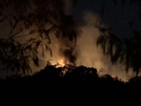 粉嶺坪輋一帶山火　兩條火線分別長約數十米