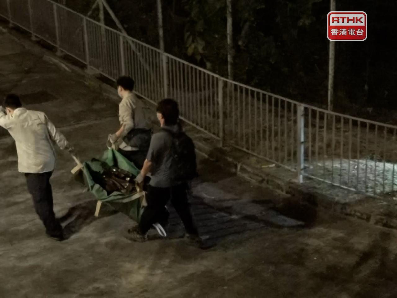 野豬晚上被麻醉槍射中制伏，人員其後將牠運走。（葉美薏攝）