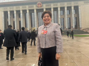 全國兩會｜顏寶鈴倡構建一帶一路僑胞資源國家級對接平台