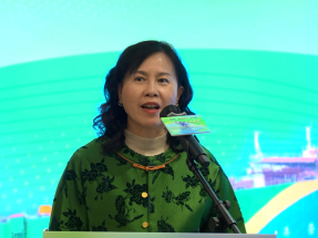 HK cruises ahead towards green fuel supply chain