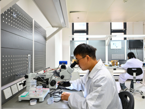 全國兩會｜十五五草案：加快高水平科技自立自強引領新質生產力