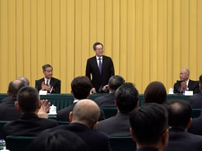 HK should step up N Metropolis development: Ding