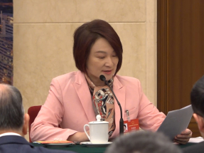 全國兩會｜李慧琼：維護和落實行政主導　立法會扮演重要角色