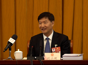 全國兩會｜海南省長懇請財政部：自貿港境外債券發行納入國家重點