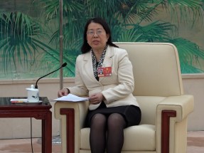 全國兩會｜全國人大台灣代表團審議大會工作　十五五發展藍圖明確