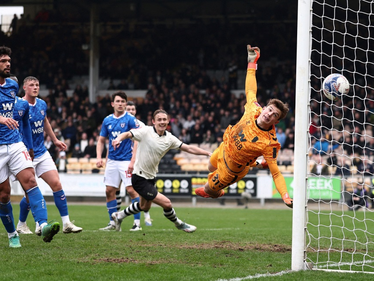 Ben Waine, a boyhood fan of Sunderland's arch rivals Newcastle, heads home the winner for lowly Port Vale. Photo: Reuters.