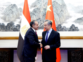 王毅：各方應敦促當事方盡快按下軍事行動「停止鍵」