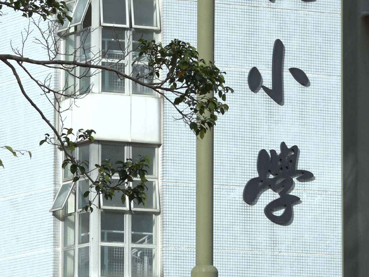 教育局公布小學規劃未來路向優化方案。（港台圖片）