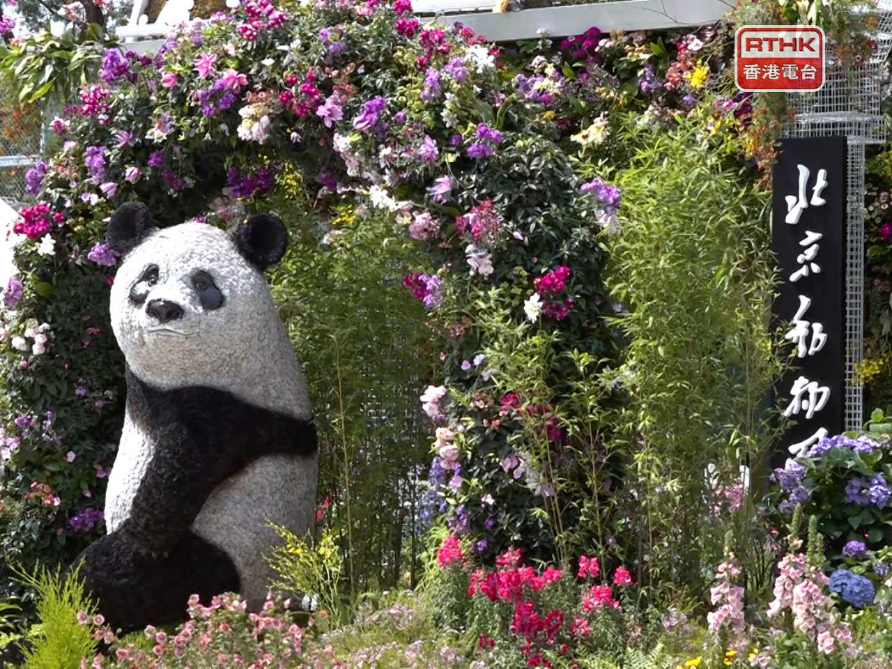 場內設有來自北京、廣州、杭州、橫琴、深圳等大型園林造景。（劉澤浩攝）