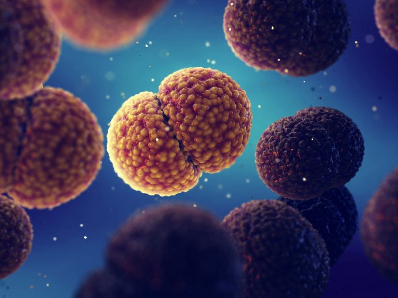 多個醫學組織發表聯合聲明，表示接種疫苗仍然是預防感染及相關嚴重併發症和後果的最有效手段。（法新社）