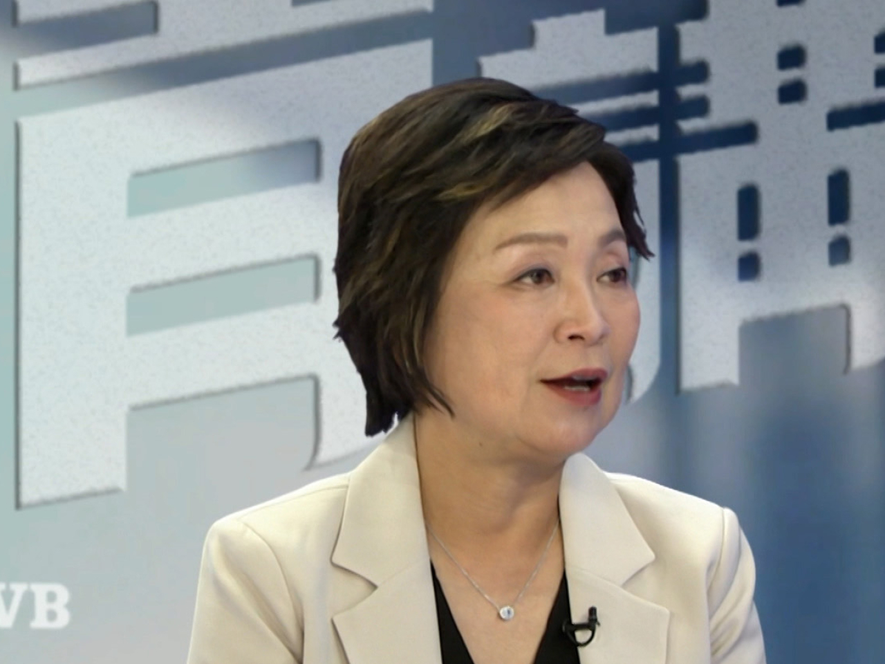 蔡若蓮稱現屆政府不會改動16人「開班線」。 （無綫電視節目截圖）