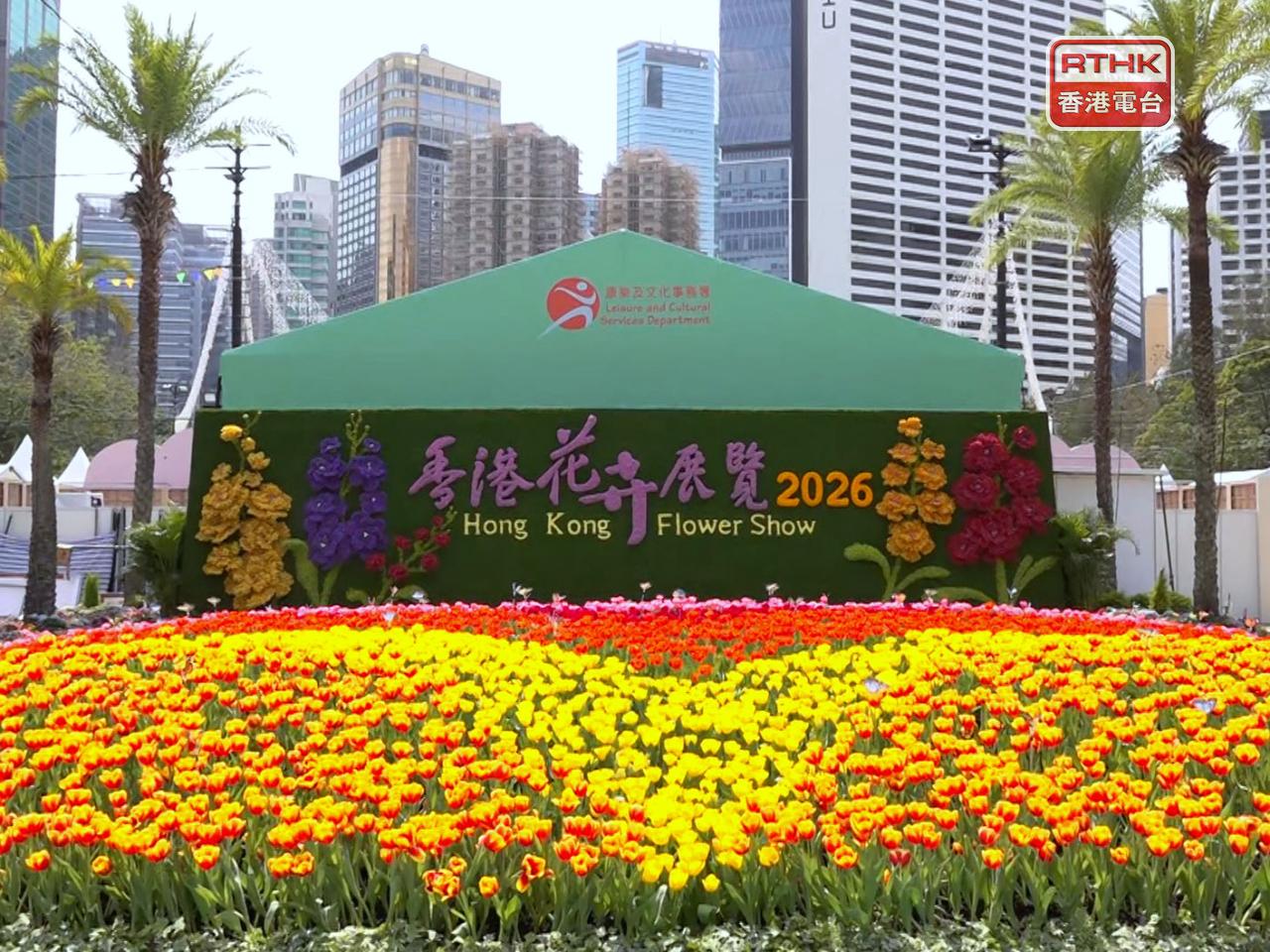 康文署指花展結束後，下周一早上將派發狀態良好及可再種植花卉。（港台圖片）