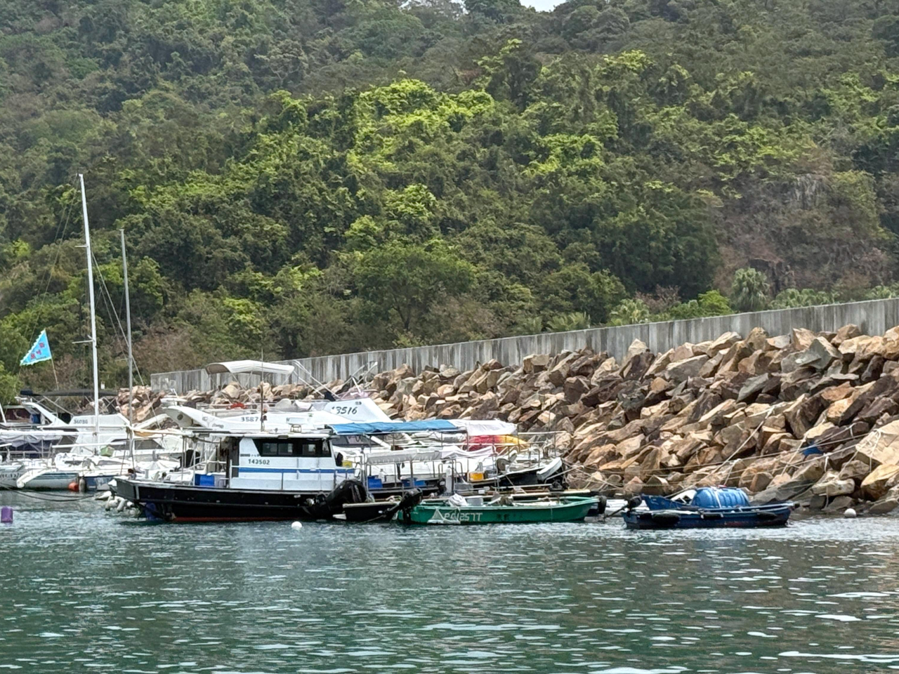 Doris Ho says Hong Kong has 12,000 registered pleasure boats locally and just 3,000 berths at present. Photo: RTHK
