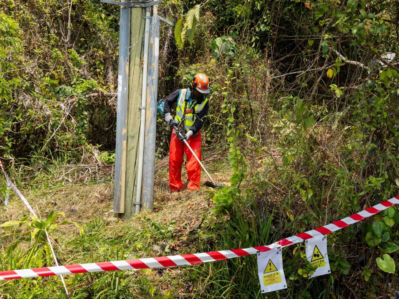 中電過去數星期重點巡查山火黑點，加強農林及植被管理，並在超過400個地點進行電杆清理工作，移除附近的雜草和樹枝。（中電提供）