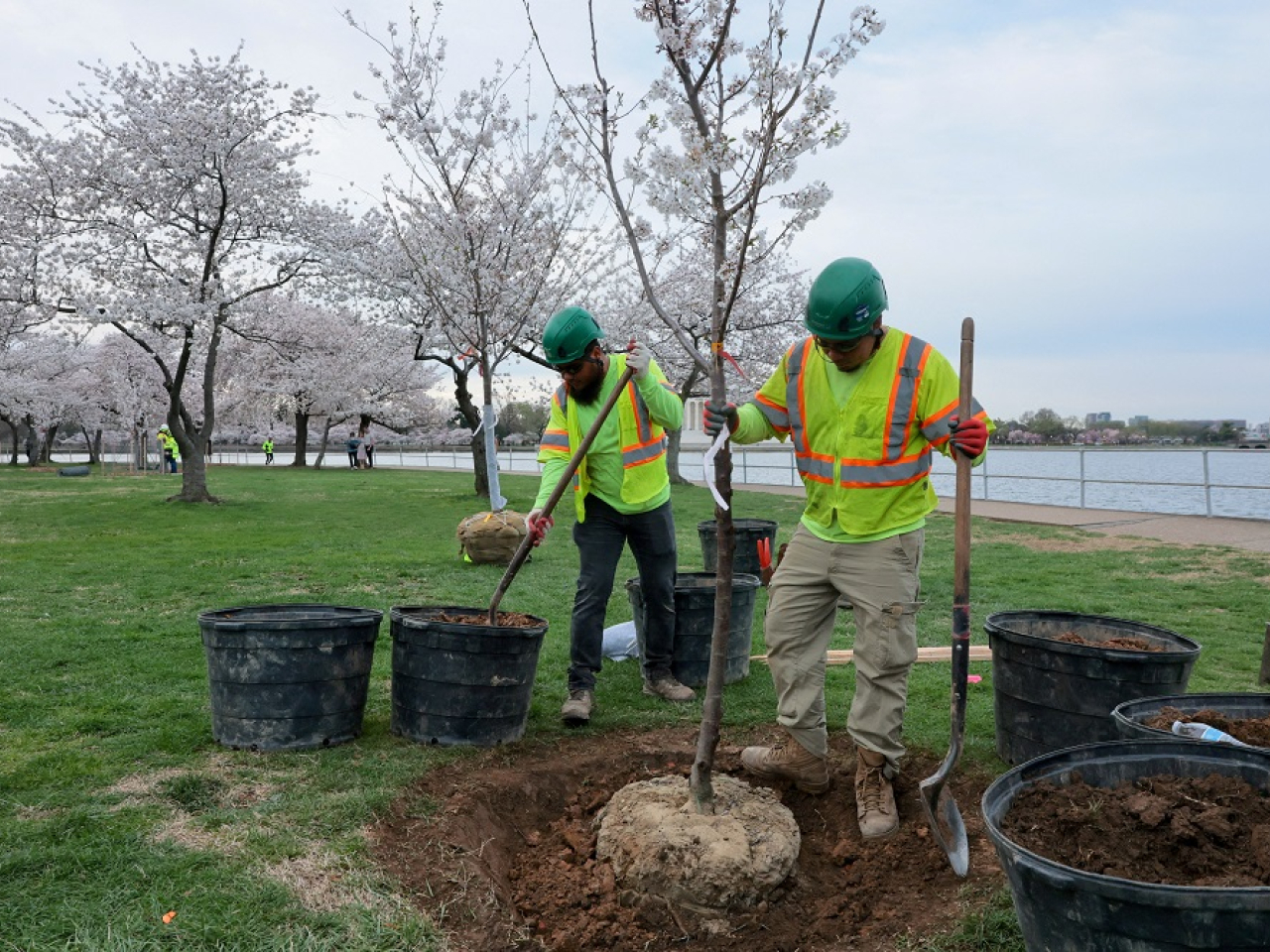 Analysts warn that weak jobs growth has been matched by a drop in labour supply, largely attributed to US President Donald Trump's crackdown on immigration. File photo: Reuters