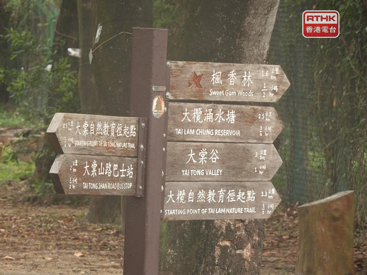 The man went missing after being separated from his wife during a rainstorm while hiking on MacLehose Trail. Photo: RTHK