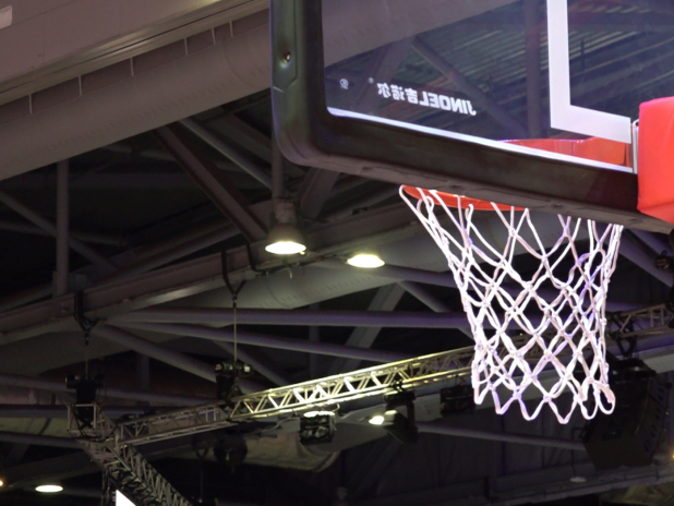 Basketball betting on hold as 'further studies' needed