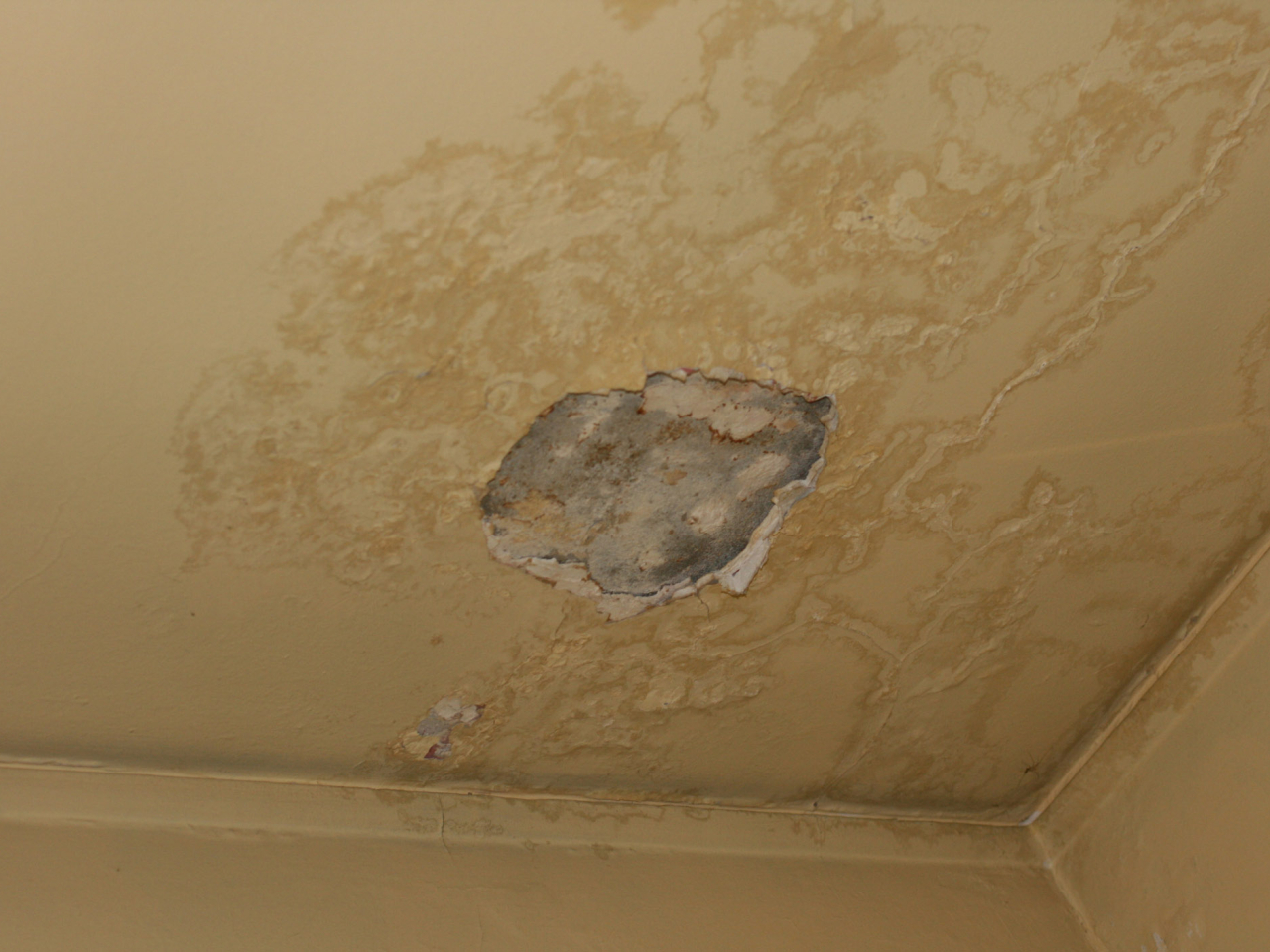 Over 99 percent of nuisance notices involved units directly above those of complainants. Photo courtesy of Information Services Department