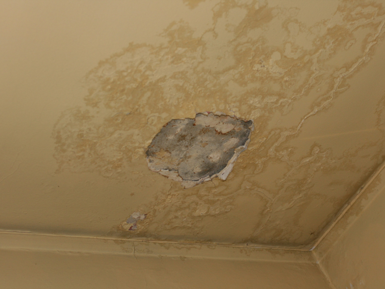 政府計劃在今年中以試行方式，在調查私人樓宇滲水實施新檢測程序，並積極推動以調解方式。（政府新聞處資料圖片）