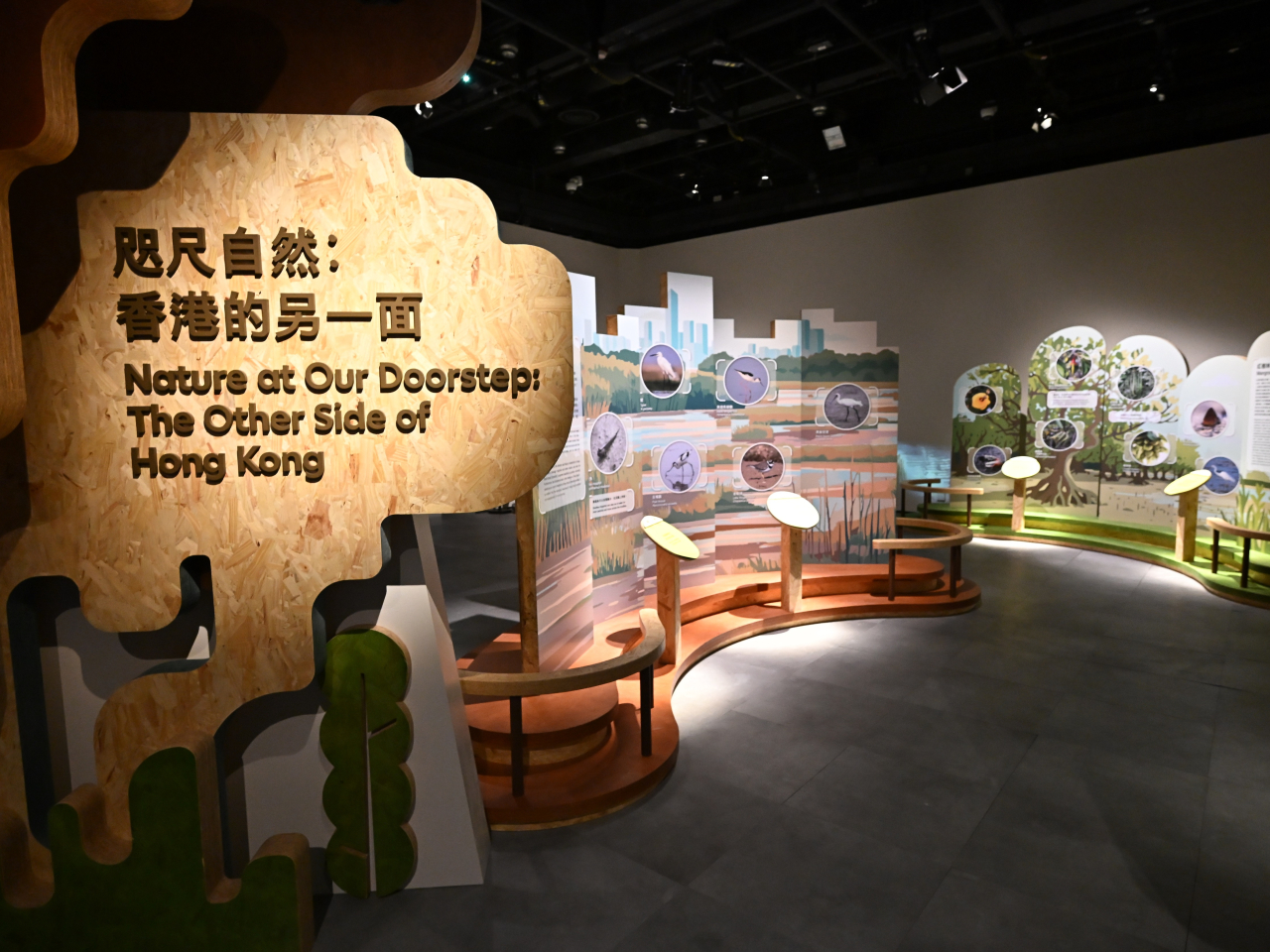 為配合「野外生態攝影年展」，科學館設「咫尺自然：香港的另一面」展覽，介紹香港濕地及野生生物。（政府新聞處）
