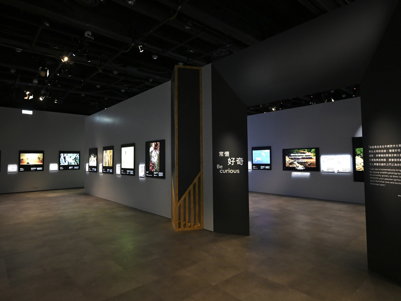 「野外生態攝影年展」展出倫敦自然歷史博物館舉辦的第六十一屆「野外生態攝影大賽」的得獎照片。（政府新聞處）