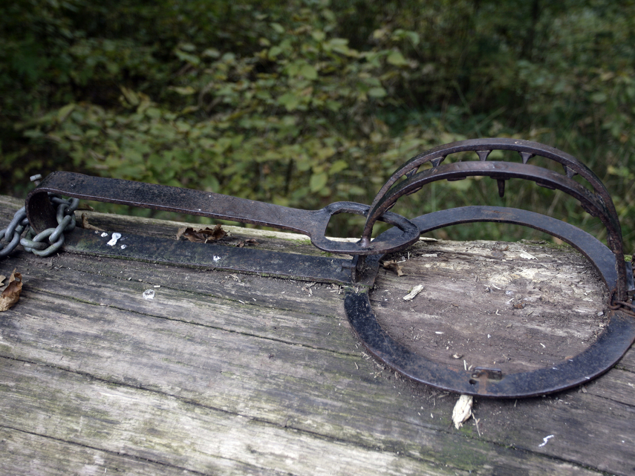 根據法例，目前非法管有及使用捕獸器的最高刑罰是罰款5萬元，並無監禁罰則。（政府新聞處）