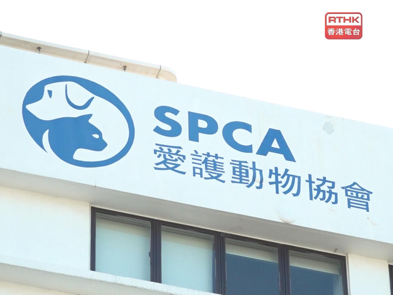 愛護動物協會認同公署的報告清楚指出有需要採取更有力行動，促請政府正視虐待動物問題。（港台圖片）