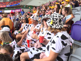 有海外球迷指香港七榄属全球最好