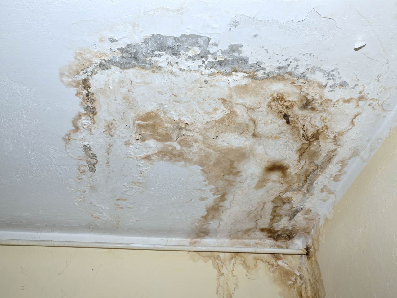 食環署表示，提出新程序希望可加快滲水單位的業主展開維修工程。（政府新聞處資料圖片）