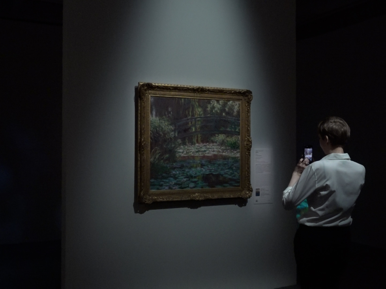 展品包括芝加哥藝術博物館藏克勞德．莫奈的《睡蓮池》。（陳感恩攝）