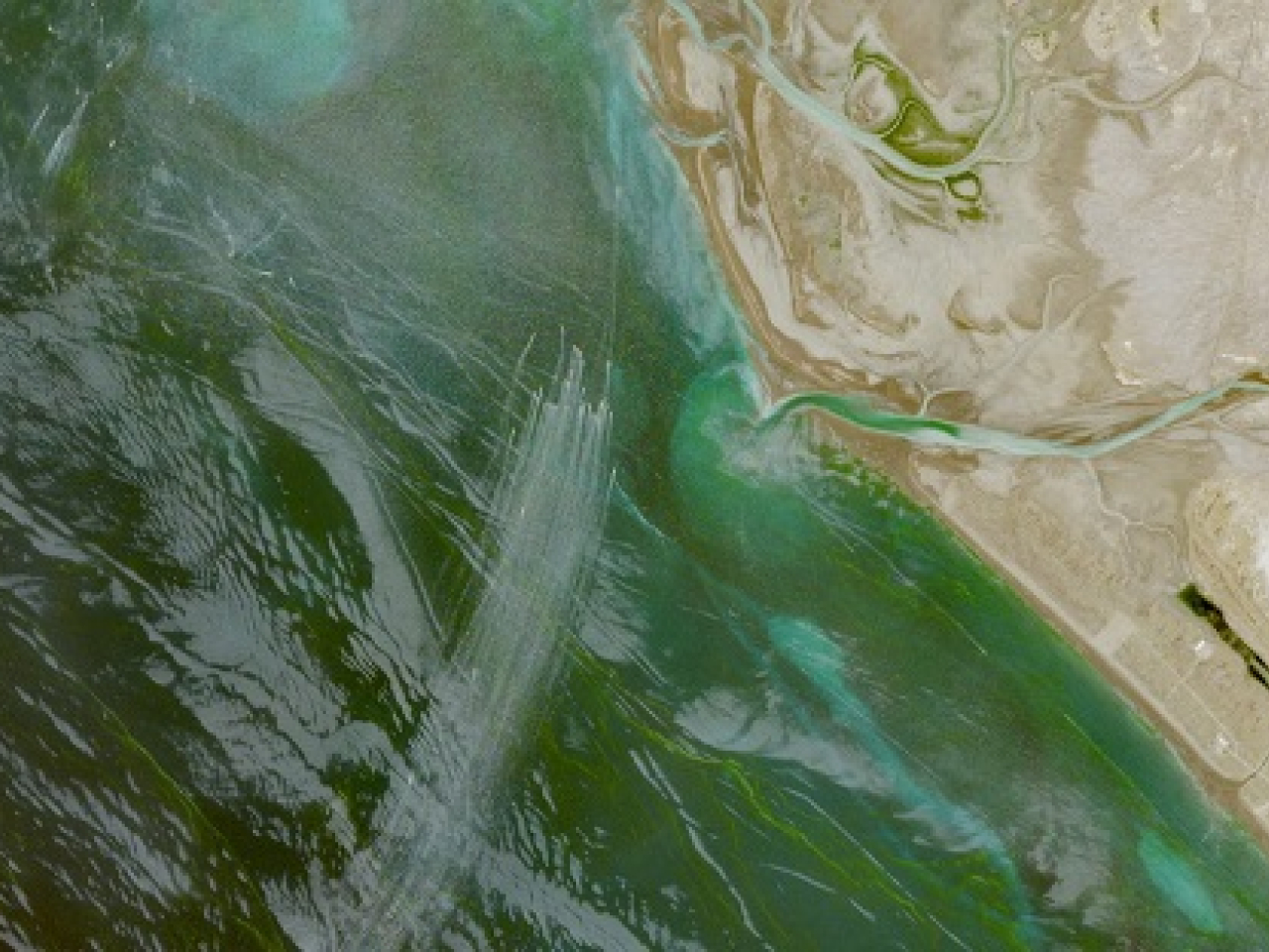 A satellite image shows a fleet of small boats at sea, north of the Strait of Hormuz near the Kargan coast, Iran. Photo: European Union/Copernicus Sentinel-2 via Reuters